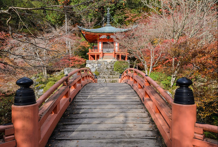 日本京都新贡佛教寺庙大地美丽的秋色目地建造天图片