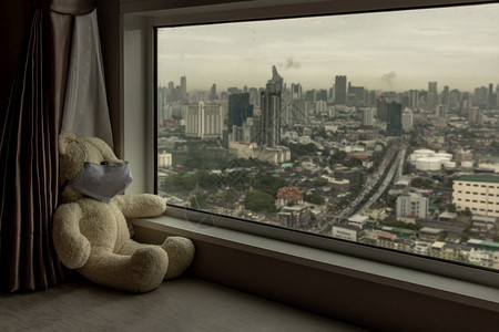 戴着口罩的泰迪熊坐在窗台上向外望着世界图片