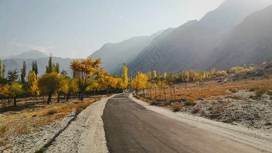 范围自然巴基斯坦SkarduGilgitBaltistan的空路旁有多彩树木以图在索尔戈Torgo的秋叶林中看到山脉阳光图片