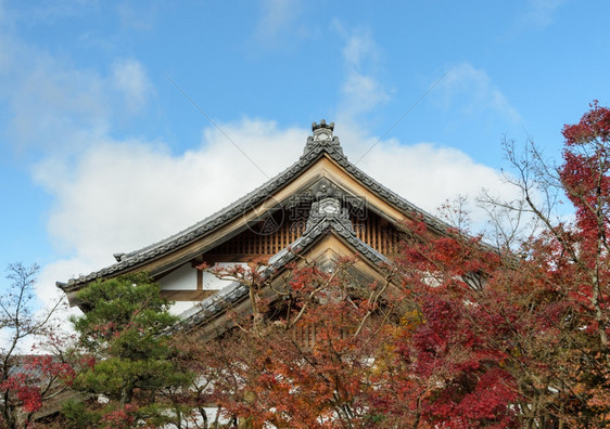 叶子建造在日本京都秋季方天南或泽林吉寺庙的日本佛教院屋顶遗产图片