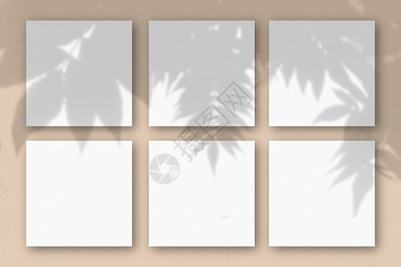 阳光水平的桃墙背景上6张方形白色纹理纸带有植物阴影的样机覆盖自然光从异国植物投下阴影平躺俯视图水平方向桃墙背景上的张白色纹理纸样图片