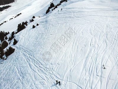 冬季雪地风光图片