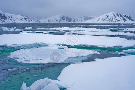 斯匹次卑尔根生态系统世界漂浮的冰和雪地山脉阿尔伯特一号陆地北极斯匹茨贝根瓦尔巴德挪威欧洲图片