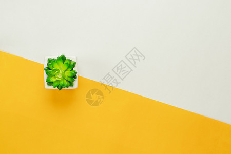 表格顶视图空中像显示最起码背景概念的空中图像Flat在主办公桌Duu背景上用现代生锈黄绿色纸罐子拍摄的Flat平原树供创造设计使图片