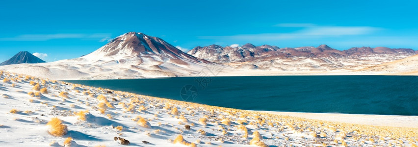 温度LagunaMiscantiLagoon和Cerro山位于AltiplanoHighAndeanPlateau海拔4350m图片