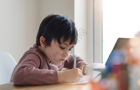 认真学习的小男孩图片