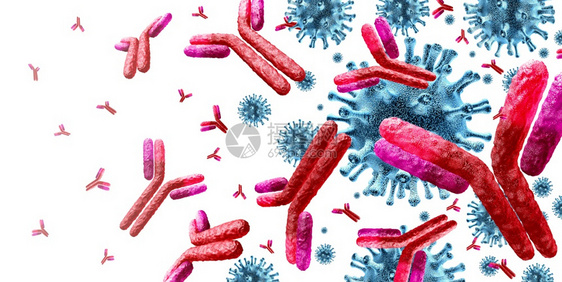 拉紧抗体免疫学和球蛋白概念作为攻击传染细胞和原体的抗作为3D插图抗原图片