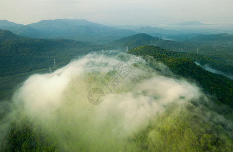 绿色森林和美丽的清晨光雾能源和环境概念高压电极PangPuayMaeMohLampang泰国兰邦绿林高压电线杆带雾的绿林中高压电图片