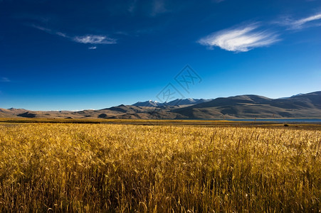 太阳清晨在TsoMoriri湖喜马拉雅山脉地貌附近的TsoMoririri湖印度TsoMoririri湖Ladakh高度460米图片