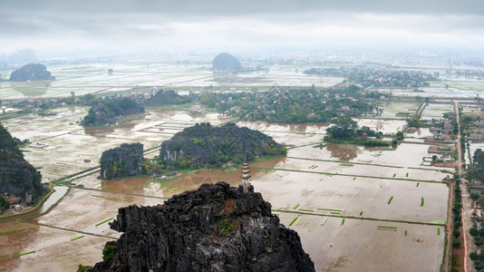 种植园清晨雨天越南新平NinhBinh旅行地貌和目的背景对稻田石灰岩和山顶HangMua庙寺的山顶塔进行惊人的全景观场地白饭图片