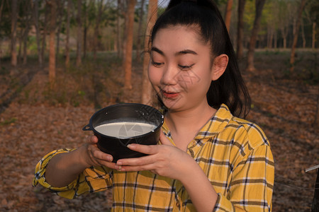 种植园一位年轻的海区女青肖像园艺员望着一整杯树的原橡胶脂奶其种植橡胶采掘形式为泰国好的农产品Heveabrasiliens美丽图片