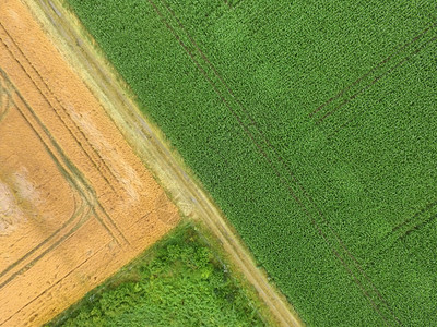 路植物由无人驾驶飞机制作的田地和杂草与绿色黄地区矩形三角的空中照片摘要土地图片