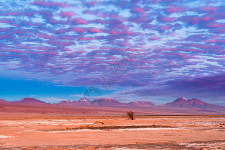 日落时在智利阿塔卡马沙漠的高原山脉和火户外美国桑图片