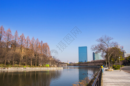 巡航城市大阪公园内堡附近的水池这是日本最著名的地标之一花图片