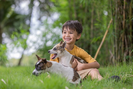 愉快玩携带穿黄色衬衫的棕毛发男孩在花园外带着可爱的小狗图片