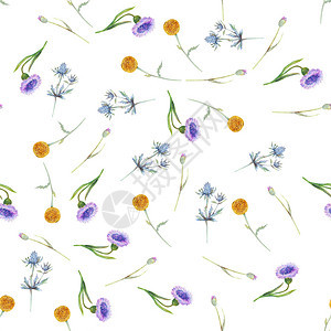 场地精美的白色背景上带有野花和树叶的无缝图案墙纸或织物的花卉图案水彩插包装设计请柬卡片等元素花朵图片