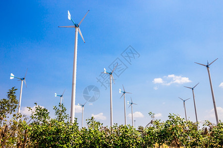 草刀片风力涡轮机农用生态田白天明亮蓝背景长华曼皇家项目泰国Phitechaburi农场图片