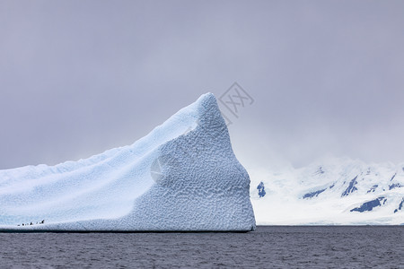 超大号企鹅群栖息在巨大的冰山上南极洲的轮廓很美盒游泳图片