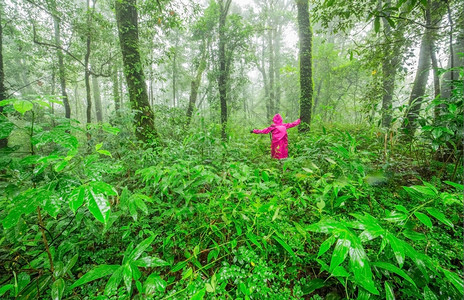 在雨林中远足肖像旅游离开图片