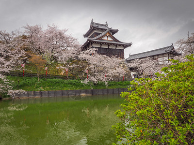 古老的关西奈良在纳拉有樱花的Koriyama城堡图片