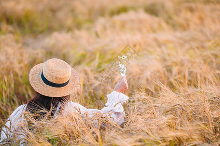 穿着装和戴草帽手握着葡萄玻璃的美观小麦田中女孩的景象穿着草帽手拿成熟小麦的美貌佳人秋天女士季节图片