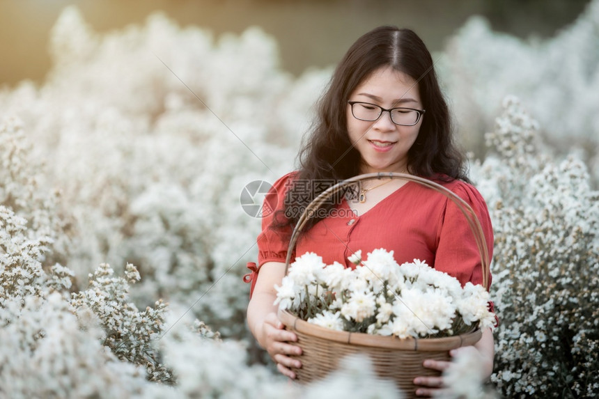女士穿着红礼服在白开花朵或玛格丽特黛西花田中享受在泰国清迈自然花园内盛放一篮ThishChangMai红色的美丽图片