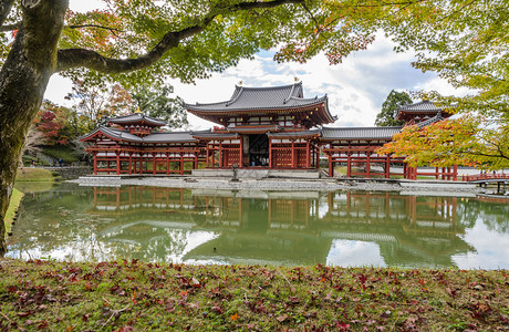 日本京都道府Uji市佛教寺庙Byodoin寺庙中秋色的凤凰堂美丽建筑是日本京都县Uji城佛教寺庙草平等院州图片