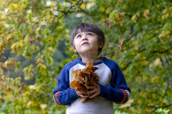 在秋天公园玩的可爱小男孩在秋天公园打着球坐在大树下玩耍的快乐孩子和可爱的小男孩一起玩人们白种微笑图片
