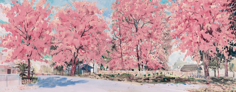 颜色街道旅游青红樱花鲜的粉色在有蓝天背景的村庄路边画描绘泰国的美丽自然季节她画绘描述泰国的美丽大自然季节fn方正黑体简fs18b图片