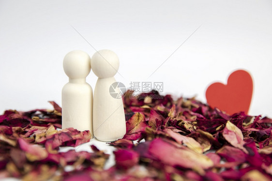 男人恋爱中的情侣站在白色背景副本空间上隔离的玫瑰花瓣上男朋友和女情人节文本的婚礼概念空间恋爱中的情侣站在白色背景副本空间上隔离的图片