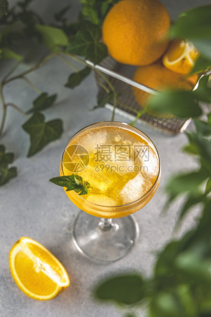 柑橘深度酒鬼香槟杯加冰的新鲜橙子鸡尾酒用冰敷在灰色桌子表面周围环绕着橘子水果和不同的绿色植物地深浅图片