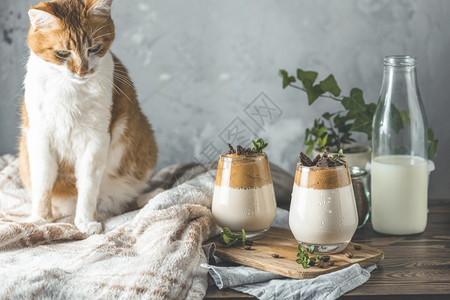 白色的可爱红小猫和两杯IcedDalgona咖啡在深黑木质表面Trendkolean喝拿铁咖啡玻璃家图片