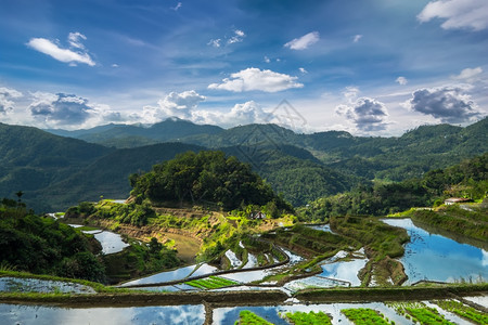 谷农业对菲律宾伊富果省山脉中云雾蓝天Banaue的稻田梯惊人全景观菲律宾教科文组织遗产著名的图片