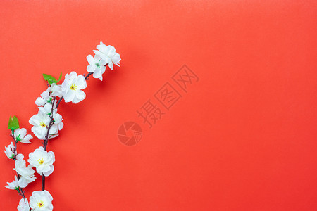 庆典花的新年月历假期背景概念Flat在红纸背景设计时用Copy空间布置成的红纸面彩花上铺着白色粉红欢快鲜花叶子图片