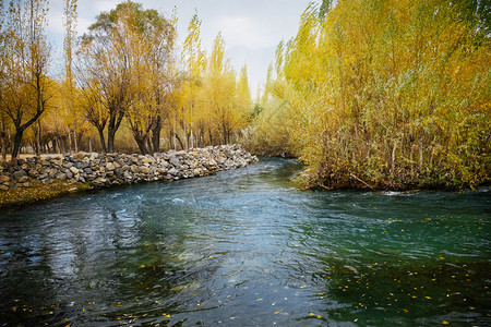 轻地安静的落下巴基斯坦SkarduGilgitBaltistan的景观宁静风秋季通过多彩的叶子林温柔流淌图片