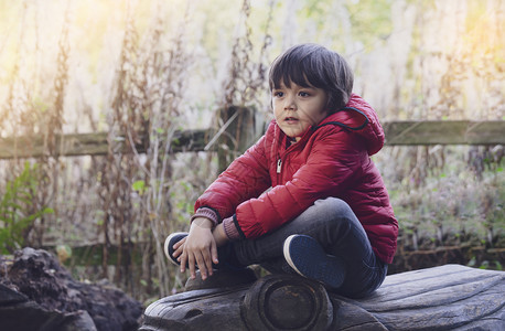 坐在木雕上背景模糊的鲜花野草背景穿着红色夹克的CuteChild在秋天户外玩耍Toddler发展概念说谎红色的外部图片