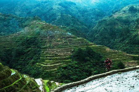 天空在下面反射对菲律宾伊富果省山脉中云雾蓝天Banaue的稻田梯惊人全景观菲律宾教科文组织遗产图片