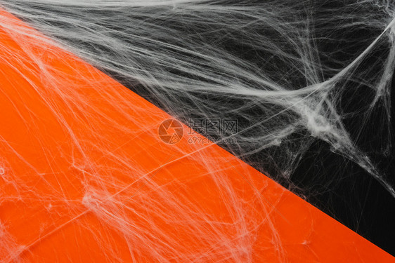 以橙色黑纸上蜘蛛网为首的用于创意设计空间游戏Flat外衣配件基本物校对PortnoySpaceforinternationald图片