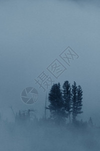 在美洲黄石公园沿河的长绿树被雾笼罩的第一个公园垂直图象在寒冷雾中的蓝色雨衣上方有复制空间状态苍凉世界图片