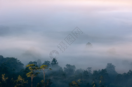 百望山森林公园天空气泰国湄宏顺省DoiMoYaKhunYuam区顶部的市景观晨雾森林上的夏天背景