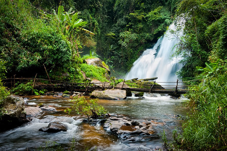 吸引力泰国清迈省DoiInthanon公园热带雨林景观包括丛植物PhaDokXu瀑布流水和竹桥MaeKlangLuang村的热带图片