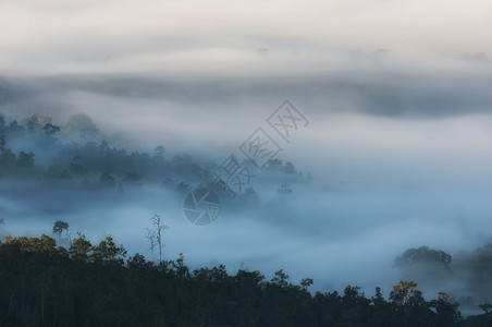 泰国湄宏顺省DoiMoYaKhunYuam区顶部的市景观晨雾森林上的北方黑暗早晨图片