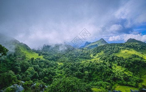 风景名胜未开垦山热带雨林的晨雾图片