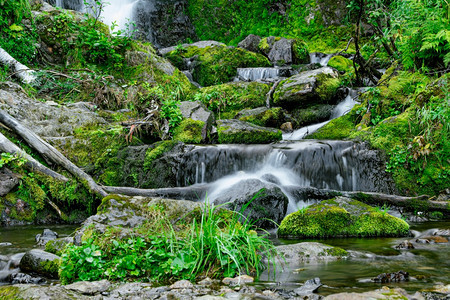 迅速的高地当前夏季日风雨林森中的溪流山崩瀑布在岩和青绿的山区河流之间自然景观森林中红厚的茂密地带有连串的山溪图片
