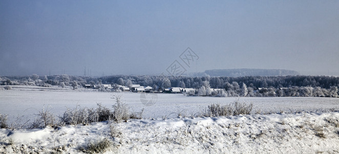 天空冬季风景雪覆盖田地混合森林降雪和冻后树木枯萎细叶松树冰雪和的枝状寒冷冬季天气还有雪离开户外图片