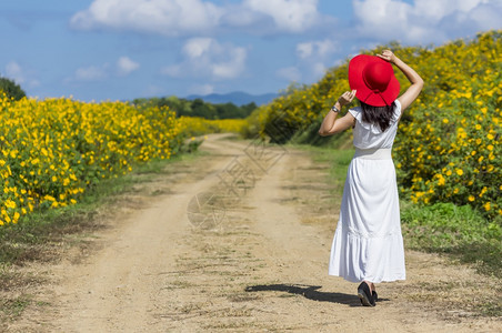 一位身着白裙子戴红帽的美丽女在一条农村公路上春光时戴着红帽墨西哥向日葵田MeeMohCoalMine花墨西哥人玫瑰图片