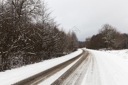 自然树木小农村公路上面铺有雪周围布满种植林树照片拍摄在冬季泥土路和愿景汽车脱雪路生长图片