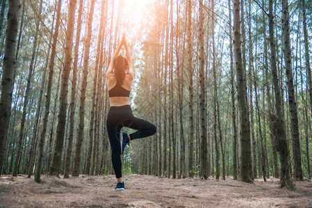 运动员赛跑者在森林中站立和做瑜伽的亚洲美丽年轻女子在夏季主题下森林活动和冥想概念中站立和做瑜伽薪资服从或举手概念放松图片