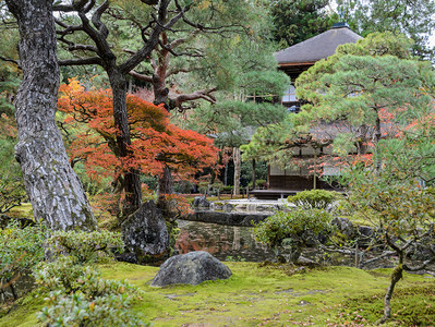 老的花园在日本京都秋色期间银殿寺或的幕庙历史图片