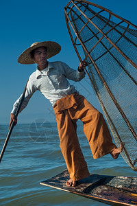 缅甸河旅行目的地缅甸竹船上渔夫以传统方式与手工制作的Inle网湖捕鱼使用手工制造的Inle湖缅甸旅游目的地技能美丽术图片